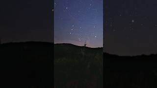 Orion First Light Google Camera App amp Budget Smartphone astrophotography nebula [upl. by Kcirddes]