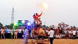 latest camel dance performance ll Rajasthani dance competition [upl. by Royden796]