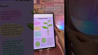 Digital note taking 💜✏️ Samsung galaxy tab S9  Penly android app  aesthetic study notes [upl. by Sergu]