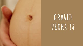 Gravid vecka 14 [upl. by Jacenta]