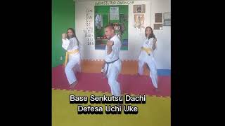 KARATE  DO SHOTOKAN TUTORIAL  BASES  DEFESAS ⛩️ [upl. by Notkcorb]