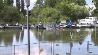 Hochwasser Juni 2013 in GinsheimGustavsburg [upl. by Eustache]