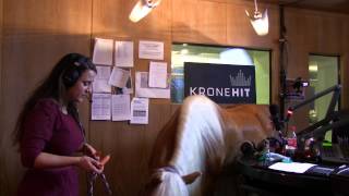 Der KRONEHIT Kindertraum 2013  Ein Pferd im Studio [upl. by Colleen723]