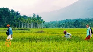 Sustainable Travel in Kerala India  Positive Footprints  World Nomads [upl. by Akcirderf]