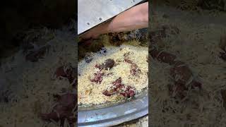 Famous Afghani Kabuli Pulao  Juicy And Tender Meat  Full Yakhni Pulao  Food Street shorts fyp [upl. by Harod]