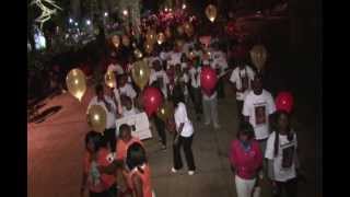 LLS Light the Night Walk Savannah Kick Off [upl. by Anitram488]