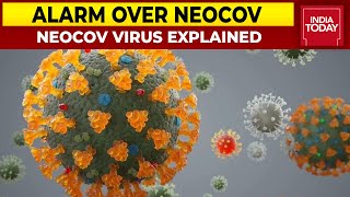 NeoCoV Explained Know Everything About The New Virus That Is Creating Panic  India Today [upl. by Mosenthal]