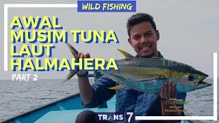 JEJAK PETUALANG  AWAL MUSIM TUNA LAUT HALMAHERA 110418 23 [upl. by Yenruogis278]