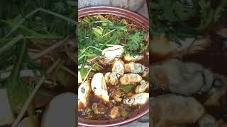 shotts cooking 牡蠣 oysters [upl. by Neelyam]