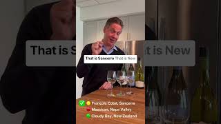 Sauvignon Blanc Blind Tasting [upl. by Drake26]