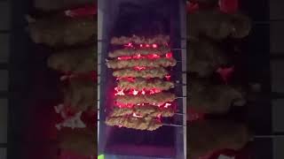 soft and juicy behari kabab [upl. by Malony]