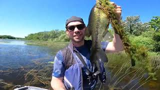 Big Bass and Catfish  Turner Lake Kayak Fishing Chain O Lakes state Park Illinois Fishing tips [upl. by Tiertza]