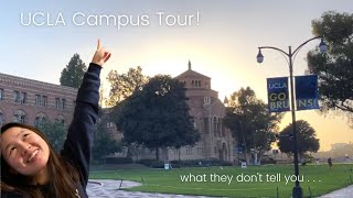 What they dont show you during a UCLA campus tour [upl. by Nan]