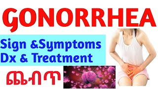 Gonorrhea Symptoms Causes and Treatment Explained Gonorrhea STDs [upl. by Adirahs]