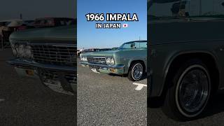 66 Impala🔥 lowrider classic carmodification oldschool automobile oldies westcoast impala [upl. by Hanafee]