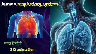 HUMAN RESPIRATORY SYSTEM  3 D ANIMATION  LUNGS AND BREATHING  ANIMATION IN RESPIRATORY SYSTEM [upl. by Goerke]