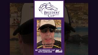 Breeders’ Cup thoughts Los Angeles surprise John’s shades dolcegabbana breederscup [upl. by Eloci]