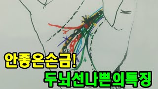 안좋은 손금 안좋은두뇌선 특징 흉운을 부상 또는 질병을 [upl. by Aisela]