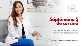 Săptămâna 5 de sarcină I Dr Amira Moldoveanu I Femmeboutiquemedicalcom [upl. by Hsemar]