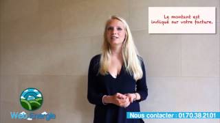 La Contribution Tarifaire dAcheminement CTA [upl. by Quartus]