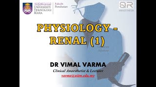 QR ANAESTHESIA  RENAL PHYSIOLOGY PART 1 [upl. by Alleen]