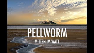 Pellworm Bezaubernde Nordseeinsel mitten im Watt [upl. by Mordecai]