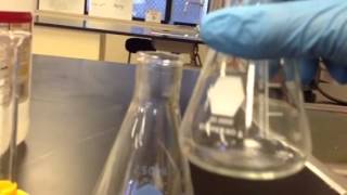 Synthesis of Zinc Iodide Lab Overview [upl. by Ahsilahs]