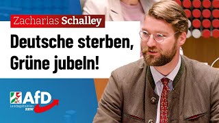 Deutsche sterben Grüne jubeln – Zacharias Schalley AfD [upl. by Finlay897]