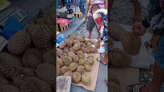 durian galng sa davao [upl. by Car841]