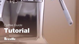 The Barista Touch™ Impress  How to clean and unblock the steam wand  Breville AU [upl. by Akerahs]