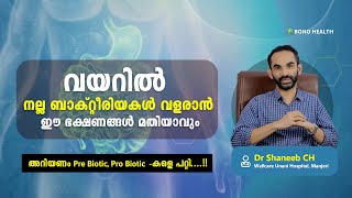 വയറിൽ നല്ല ബാക്റ്റീരിയകൾ വളരാൻ ഈ ഭക്ഷണങ്ങൾ മതിയാവും അറിയണം Pre Biotic Pro Biotic കളെ പറ്റി [upl. by Trauner]