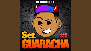 Set Guaracha Aleteo Mix 1 [upl. by Eehsar]