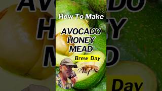 How To Make Avocado Honey Mead  Brew Day [upl. by Esyak]