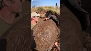 Baby Elephant And Mom Are Stuck In A Well Full Of Water  The Dodo [upl. by Etteniotna]