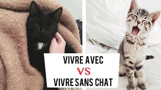 Vivre avec ou sans Chat  LeaChoue [upl. by Julienne]