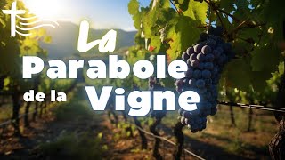 Parole et Évangile du jour  Vendredi 1er mars • Pourquoi la vigne est importante dans la Bible [upl. by Earehs]