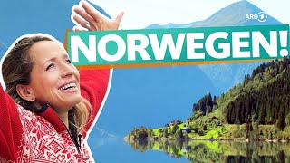 Norwegen  Der Westen von Sognefjord bis Bergen 4K UHD  ARD Reisen [upl. by Airad]