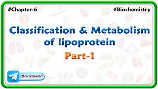 Chapter 6  Lipids  Classification amp Metabolism Of lipoprotein Part 5  Hindi [upl. by Enneicul]