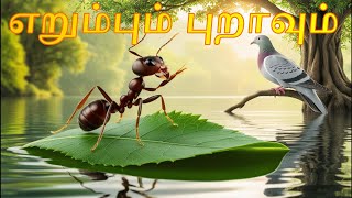 Ant Dove Storyஎறும்பும் புறாவும்  Puravum Erumbum  Tamil Kids Stories  Tamil animation stories [upl. by Amadis]