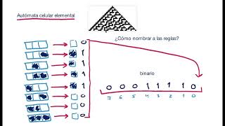 Teoría 3 Autómatas celulares  Autómata elemental [upl. by Parrish353]