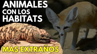 🌎🦎 ESTON SON Los 10 HÁBITATS Más Extraños Donde VIVEN los ANIMALES 🐙❄️🔥 [upl. by Hutner430]