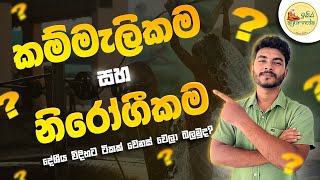 කම්මැලිකම සහ නිරෝගිකම laziness amp healthiness  Isira Ayurveda [upl. by Assennev]