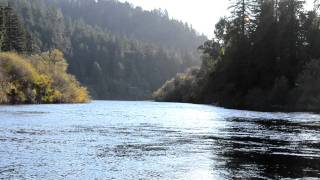 Russian River at Villa Grande Steelhead Season Begins [upl. by Sexton808]