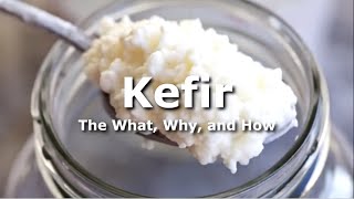 Kefir Canada How to make kefir at home [upl. by Terag]