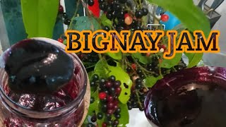 Bignay Jam homemade wild cherry [upl. by Dnalro106]