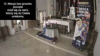 Franciszkanie Brzeziny transmisja na żywo [upl. by Pallas636]