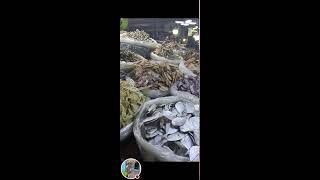 Rosalia Catud Vlog is liveMapagpalang Gabi sa lahatDried fish yummy [upl. by Hare]