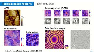 Toroidal topology and its manipulation in ferroelectric polymers [upl. by Nosdivad30]