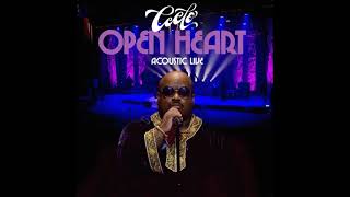 CeeLo Green  Crazy  Trouble so Hard Live [upl. by Inimak]