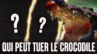 5 ANIMAUX qui pourraient VAINCRE un CROCODILE [upl. by Fritzsche]